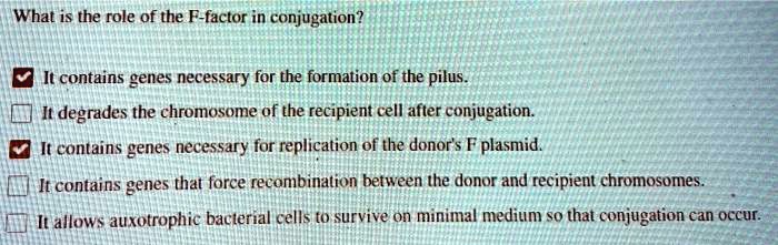 What is the role of the F-factor in conjugation?

It contains genes necessary for the formation of the pilus.
It degrades the chromosome of the recipient cell after conjugation.
It contains genes necessary for replication of the donor's F plasmid.
It contains genes that force recombination between the donor and recipient chromosomes.
It allows auxotrophic bacterial cells to survive on minimal medium so that conjugation can occur.