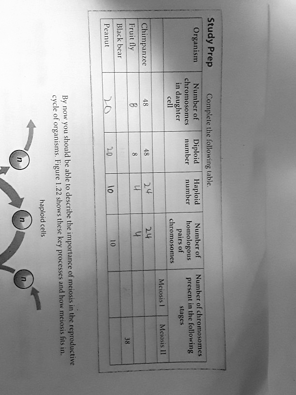 SOLVED0i2 Chimpanzee Joxd Kpo,5 'Prep 1 2 1 cell U oogashonld nof HJ