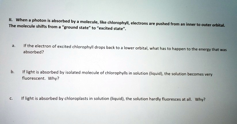 II. When a photon is absorbed by a molecule, like chlorophyll, electrons are pushed from an inner to outer orbital. The molecule shifts from a "ground state" to "excited state".

a. If the electron of excited chlorophyll drops back to a lower orbital, what has to happen to the energy that was absorbed?

b. If light is absorbed by isolated molecule of chlorophylls in solution (liquid), the solution becomes very fluorescent. Why?

c. If light is absorbed by chloroplasts in solution (liquid), the solution hardly fluoresces at all. Why?