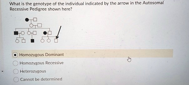 What is the genotype of the individual indicated by the arrow in the Autosomal Recessive Pedigree shown here?
Homozygous Dominant
Homozygous Recessive
Heterozygous
Cannot be determined