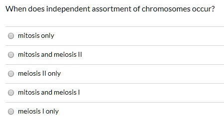 SOLVED:When does independent assortment of chromosomes occur? mitosis ...