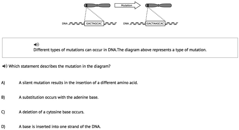 SOLVED 'PLZ ANSWER ALL ( I WILL GIVE YOU BRAINLIEST Mutation DNA