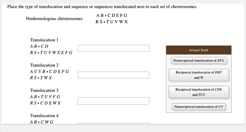 Place the type of translocation and sequence or sequences translocated next to each set of chromosomes.
Nonhomologous chromosomes AB • CDEFG RS • TUVWX
Translocation 1 AB • CD RS • TUVWXEFG
Translocation 2 AUVB • CDEFG RS • TWX
Translocation 3 AB • TUVFG RS • CDEWX
Translocation 4 AB • CWG
Answer Bank
Nonreciprocal translocation of EFG
Reciprocal translocation of DEF and W
Reciprocal translocation of CDE and TUV
Nonreciprocal translocation of UV