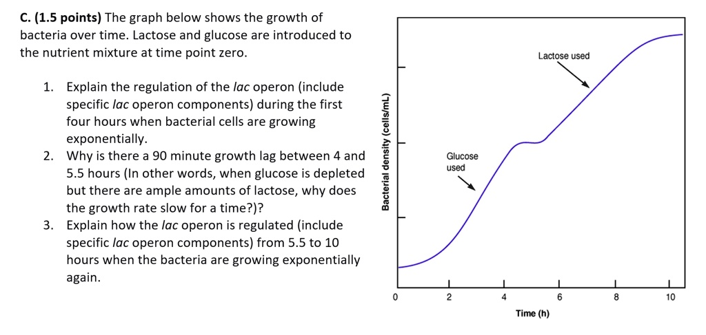 solved-c-1-5-points-the-graph-below-shows-the-growth-of-bacteria