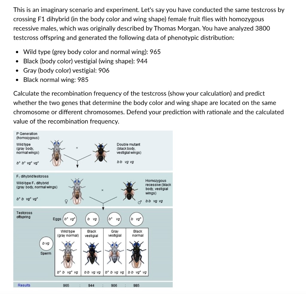 This Is An Imaginary Scenario And Experiment: Let's Say You Have ...