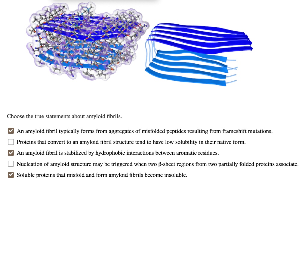 Choose the true statements about amyloid fibrils.
An amyloid fibril typically forms from aggregates of misfolded peptides resulting from frameshift mutations.
Proteins that convert to an amyloid fibril structure tend to have low solubility in their native form.
An amyloid fibril is stabilized by hydrophobic interactions between aromatic residues.
Nucleation of amyloid structure may be triggered when two ?-sheet regions from two partially folded proteins associate.
Soluble proteins that misfold and form amyloid fibrils become insoluble.