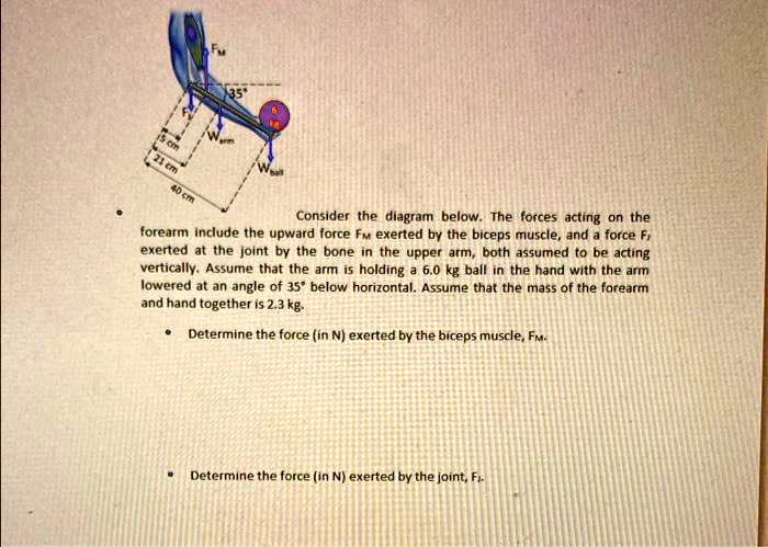 F15 Cm 21 Cm 35 F40 Cm W Textball W Textarm Consider The Diagram Below f15-cm-21-cm-35-f40-cm-w-textball-w-textarm-consider-the-diagram-below