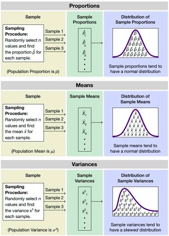 SOLVED: Please explain this chart. Proportions Sample Sample ...