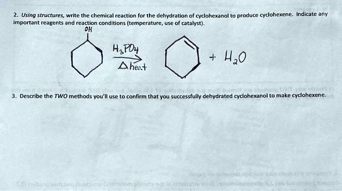 Solved Using Structures Write The Chemical Rcaction For The Dehydration Of Cyclohexanol To