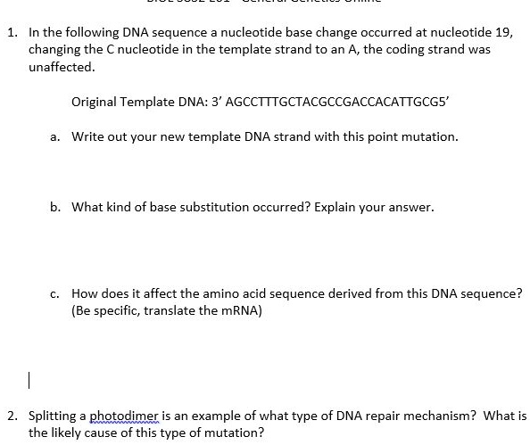 SOLVED: In the following DNA sequence, a nucleotide base change ...