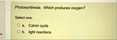 photosynthesis which produces oxygen select one a calvin cycle b light reactions 01828