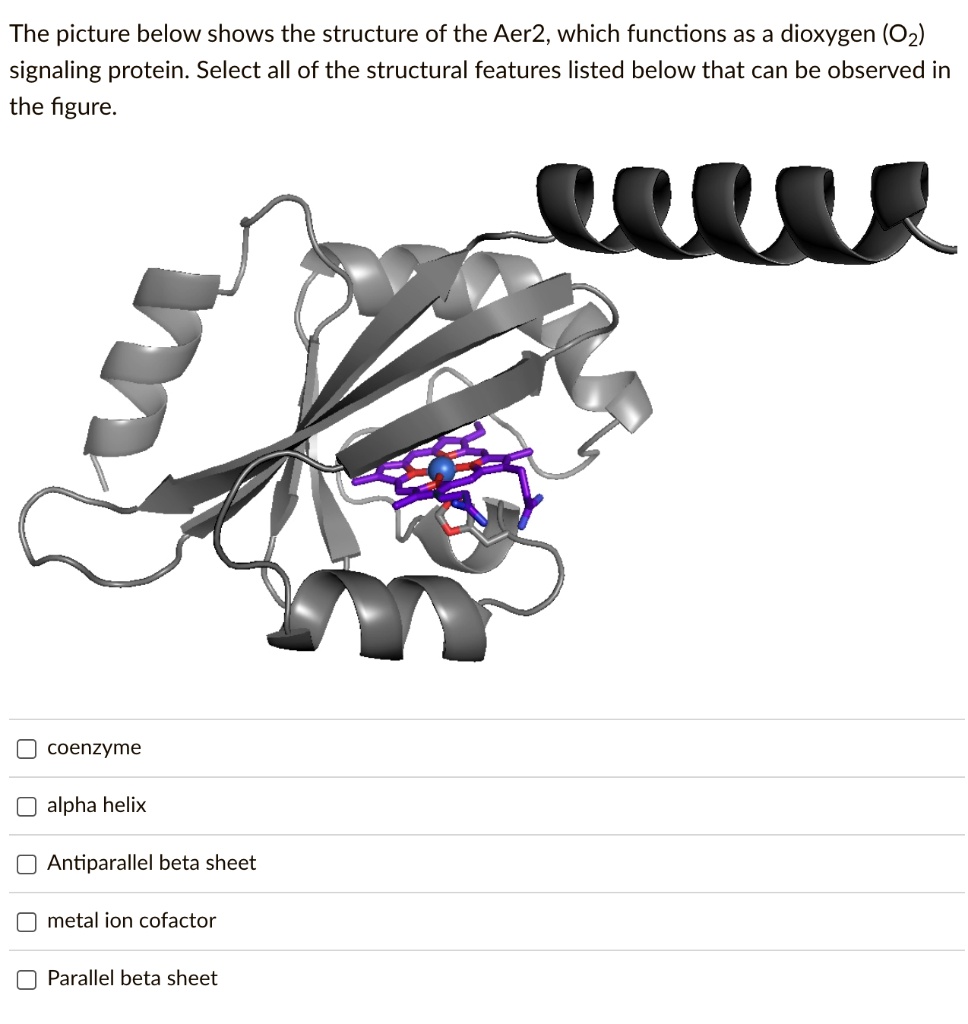 The picture below shows the structure of the Aer2, which functions as a ...