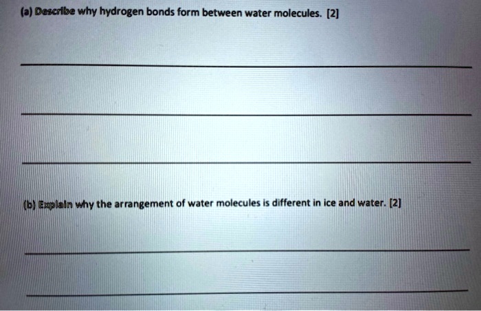 SOLVED: (3) Describe why hydrogen bonds form between water molecules ...
