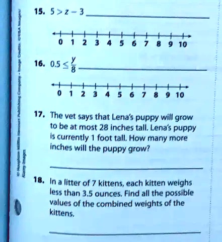 In a litter of 7 kittens 2025 each kitten weighs