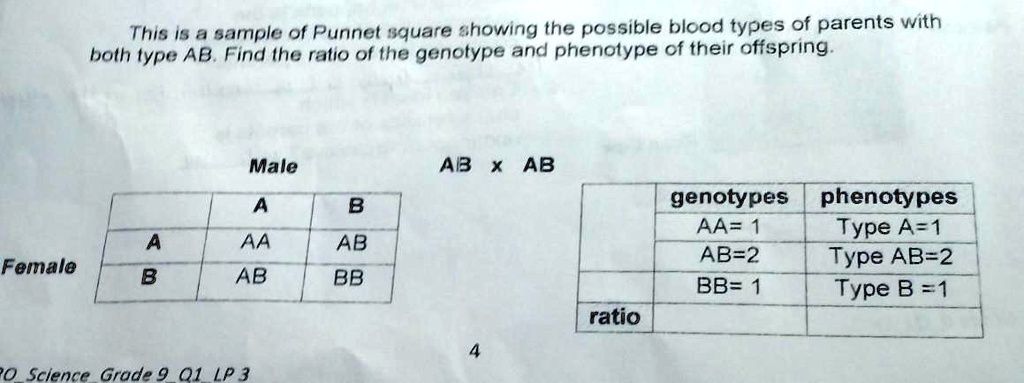 [GET ANSWER] This is a sample of Punnet square showing the possible ...