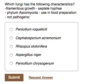 SOLVED: Which fungi has tne following characteristics? ~filamentous ...