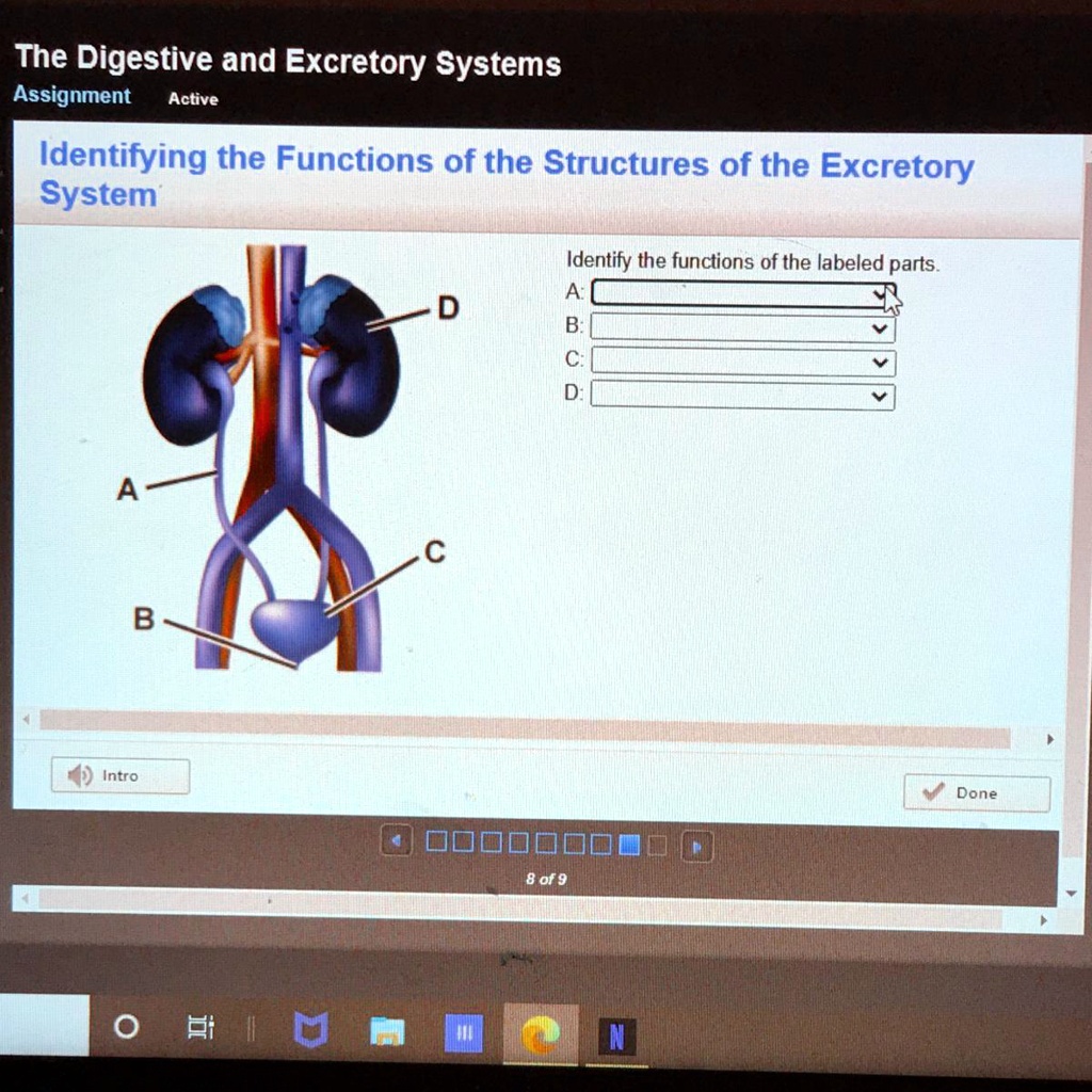identify the functions of the labeled parts a b c d the digestive and ...