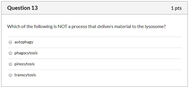 Which of the following is NOT a process that delivers material to the lysosome?
autophagy
phagocytosis
pinocytosis
transcytosis