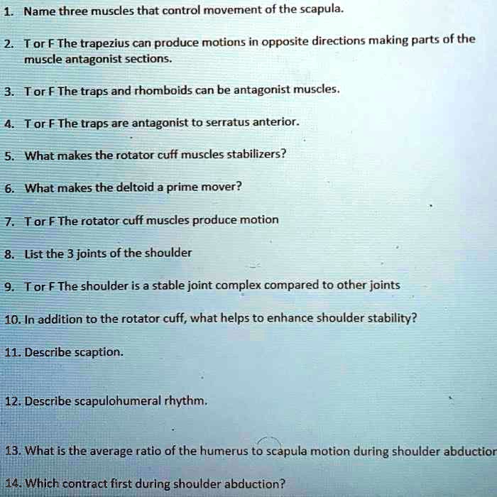 SOLVED 1. Name three muscles that control movement of the scapula. 2