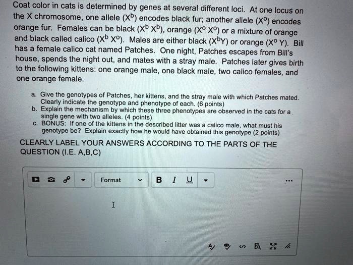 SOLVED Coat color in cats is determined by genes at several different