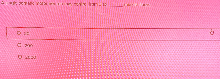 A single somatic motor neuron may control from 3 to  muscle fibers.
? 20
? 200
? 2000