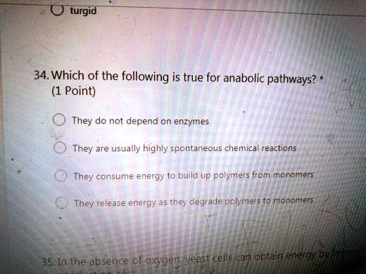 Solved:turgid 34.Which Of The Following Is True For Anabolic Pathways? (1  Point) They - Do Not Depend On Enzyines They Are Usually Highly Spontaneous  Chemica Eaclions They Consume Energy T0 Build Up Solved:turgid 34.Which Of The Following Is True For Anabolic Pathways? (1  Point) They - Do Not Depend On Enzyines They Are Usually Highly Spontaneous  Chemica Eaclions They Consume Energy T0 Build Up