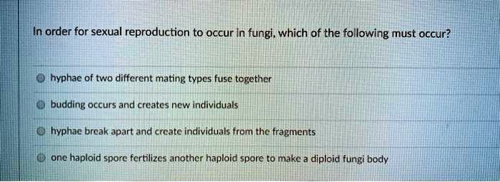 In order for sexual reproduction to occur in fungi, which of the following must occur?

hyphae of two different mating types fuse together

budding occurs and creates new individuals

hyphae break apart and create individuals from the fragments

one haploid spore fertilizes another haploid spore to make a diploid fungi body