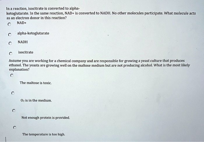In a reaction, isocitrate is converted to alpha-
ketoglutarate. In the same reaction, NAD+ is converted to NADH. No other molecules participate. What molecule acts
as an electron donor in this reaction?
NAD+
alpha-ketoglutarate
NADH
isocitrate
Assume you are working for a chemical company and are responsible for growing a yeast culture that produces
ethanol. The yeasts are growing well on the maltose medium but are not producing alcohol. What is the most likely
explanation?
The maltose is toxic.
O2 is in the medium.
Not enough protein is provided.
The temperature is too high.