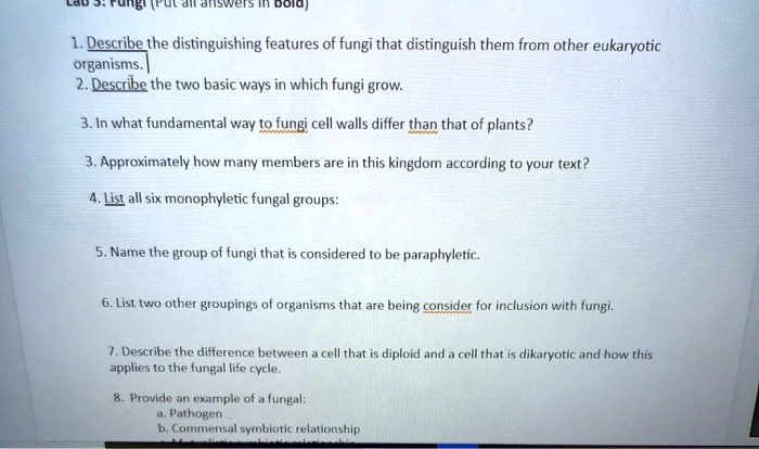 7unb dnswieis doidp describethe distinguishing features of...