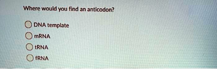 Where would you find an anticodon?
DNA template
mRNA
tRNA
fRNA