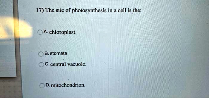 17) The site of photosynthesis in a cell is the:
A. chloroplast.
B. stomata
C. central vacuole.
D. mitochondrion.