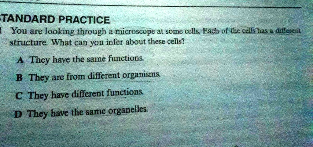 STANDARD PRACTICE 1 You are looking through a microscope at some cells ...