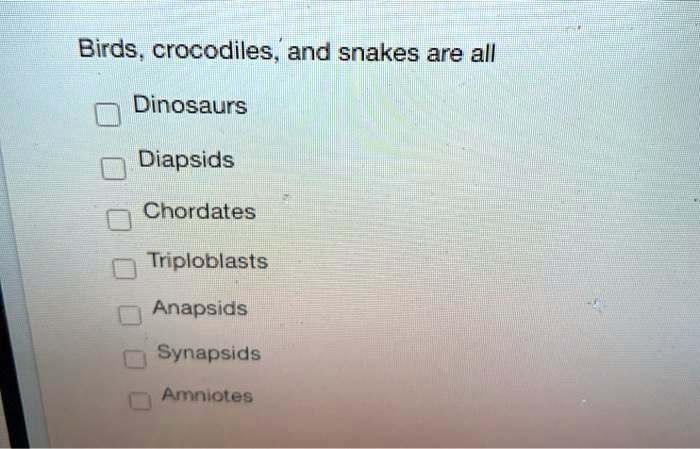 Solved:birds , Crocodiles And Snakes Are All Dinosaurs Diapsids 