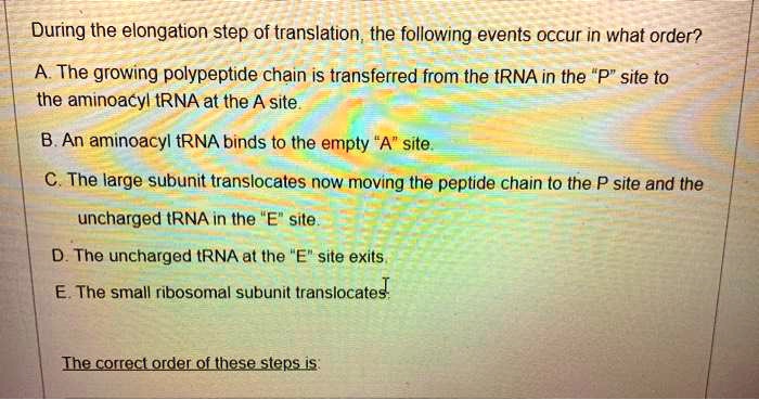 SOLVED: During the elongation step of translation, the following events ...