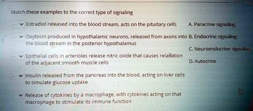 Match these examples to the correct type of signaling
Estradiol released into the blood stream, acts on the pituitary cells
A. Paracrine signaling
Oxytocin produced in hypothalamic neurons, released from axons into B. Endocrine signaling the blood stream in the posterior hypothalamus
C. Neuroendocrine signaling
Epithelial cells in arterioles release nitric oxide that causes relaxation
of the adjacent smooth muscle cells
D. Autocrine
Insulin released from the pancreas into the blood, acting on liver cells to simulate glucose uptake
Release of cytokines by a macrophage, with cytokines acting on that macrophage to stimulate its immune function