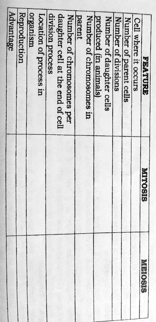 SOLVED: What's MoreActivity 1. COMPARING MITOSIS AND MEIOSISDirections: Complete the table below. Use a separate sheets of paper for Between Mitotic and Meiotic Cell Divisions in Animal CellsMITOSISMEIOSISFEATURECell where it ... SOLVED: What's MoreActivity 1. COMPARING MITOSIS AND MEIOSISDirections: Complete the table below. Use a separate sheets of paper for Between Mitotic and Meiotic Cell Divisions in Animal CellsMITOSISMEIOSISFEATURECell where it ...