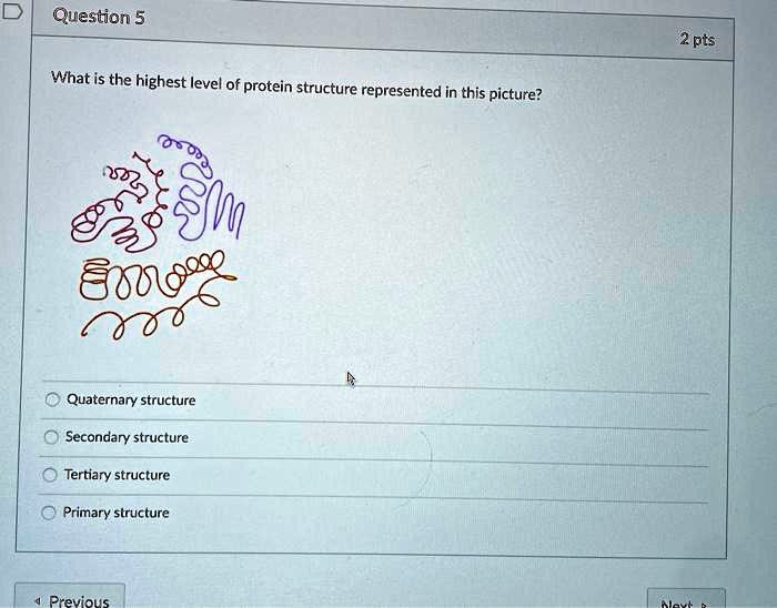 Question 5 2 pts what is the highest level of protein...