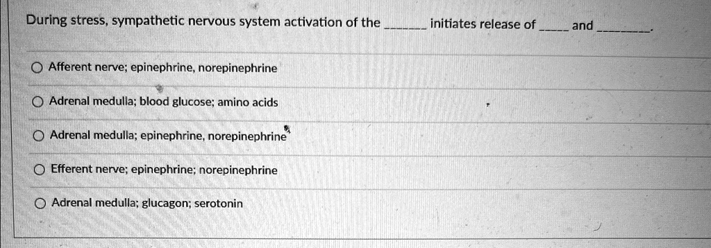 During stress, sympathetic nervous system activation of the initiates ...