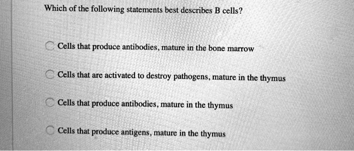 Which of the following statements best describes B cells?

Cells that produce antibodies, mature in the bone marrow
Cells that are activated to destroy pathogens, mature in the thymus
Cells that produce antibodies, mature in the thymus
Cells that produce antigens, mature in the thymus