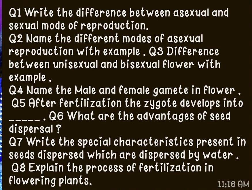 SOLVED 'please answer these questions Q1 Write the difference between