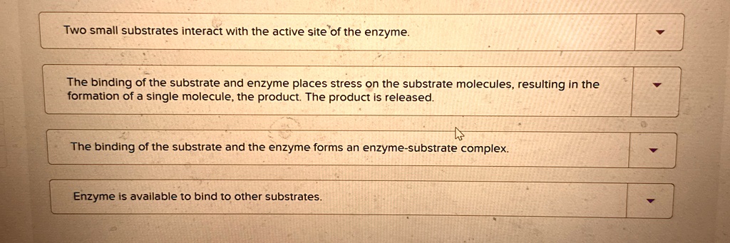 two small substrates interact with the active site of the enzyme the ...
