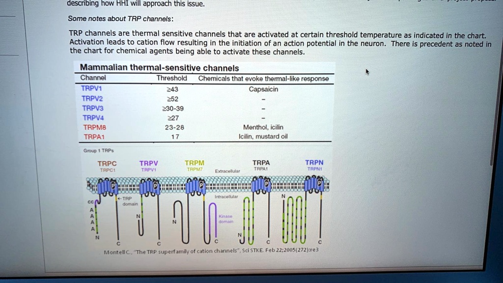 SOLVED: Some Notes About TRP Channels: TRP Channels Are Thermally ...