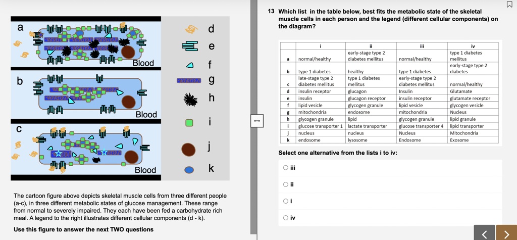 SOLVED: Texts: 13. Which list in the table below best fits the ...