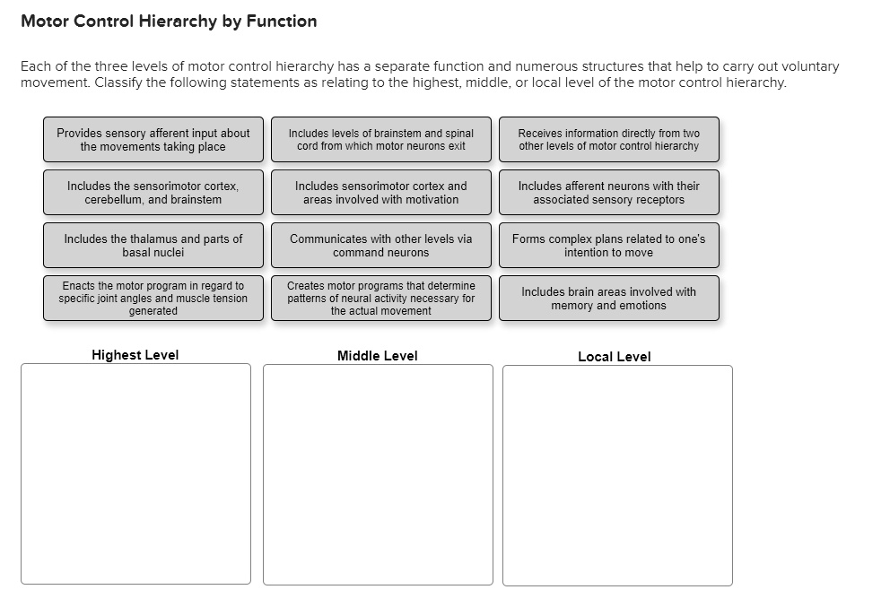 SOLVED Motor Control Hierarchy by Function Each of the three levels of