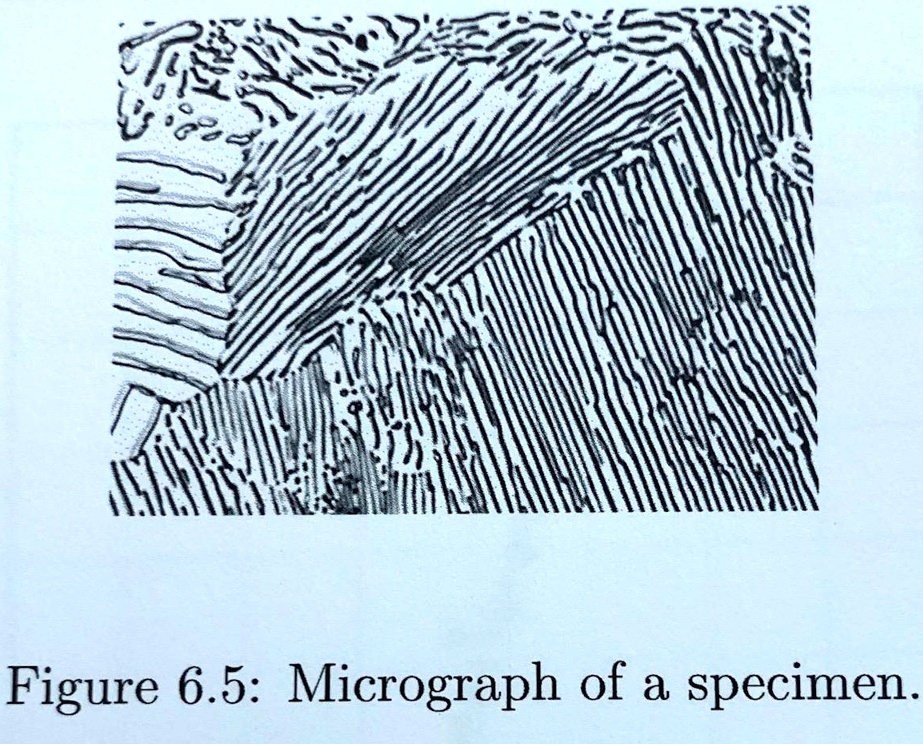 SOLVED Explain why the specimens of high carbon steel, after being