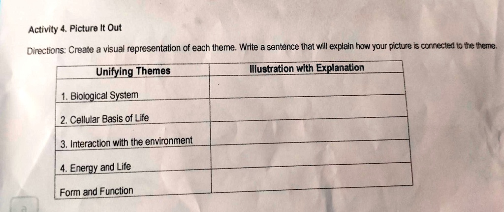 create a visual representation of each theme biological system