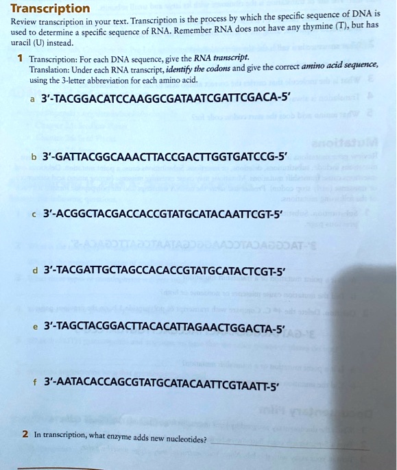 SOLVED Transcription is the process by which the specific sequence of