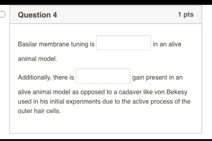 are outer hair cells only present in animal s