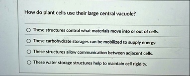 how do plant cells use their large central vacuole these structures control what materials move into or out of cells these carbohydrate storages can be mobilized to supply energy these struc 03987