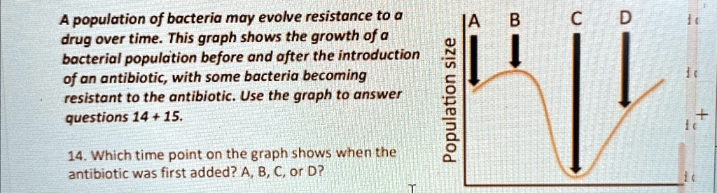 A population of bacteria may evolve resistance to a drug over time. This graph shows the growth of a bacterial population before and after the introduction of an antibiotic, with some bacteria becoming resistant to the antibiotic. Use the graph to answer questions 14+15.
14. Which time point on the graph shows when the antibiotic was first added? A, B, C, or D?